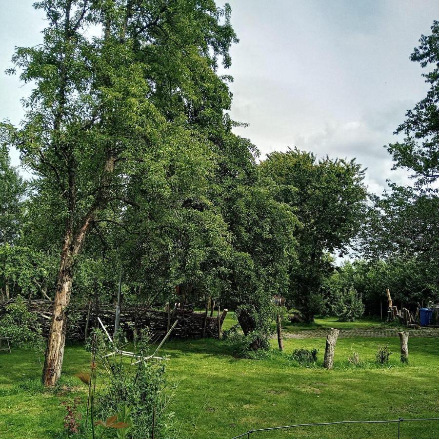 Ferienwohnung-Im-Karolinenkoog-Erholung-Zwischen-Feld-Und-Deich Luaran gambar